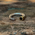 The Half-Eaten Spinel Ring