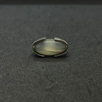 The Horizontal Moonstone Band