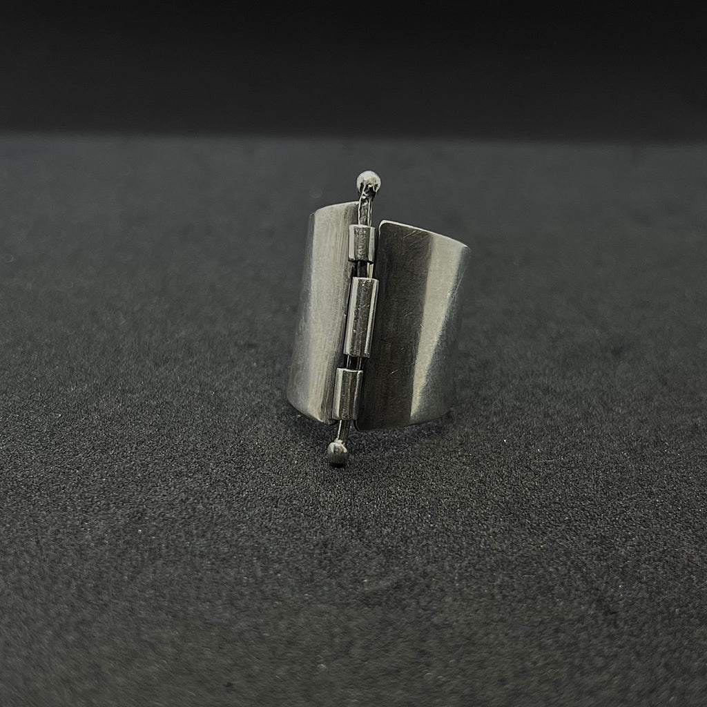 The Locked Hinge Band