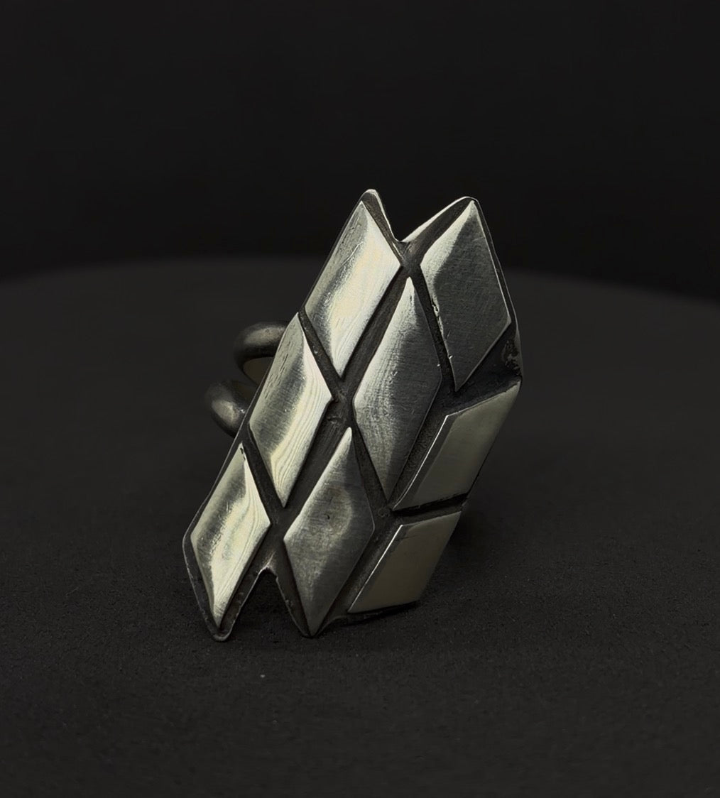 The Mosaic Fragment Ring