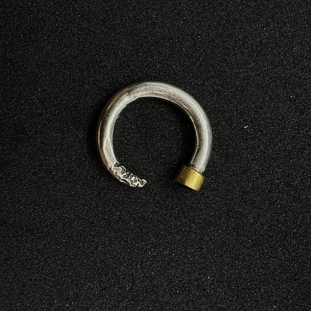 The Half-Eaten Spinel Ring