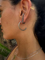 Striped Silver Ear Climber