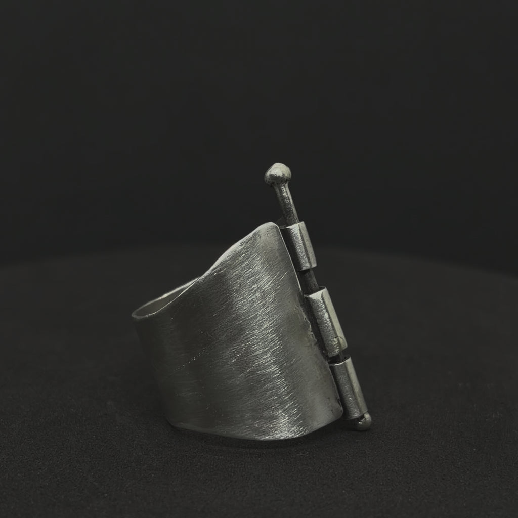 The Locked Hinge Band