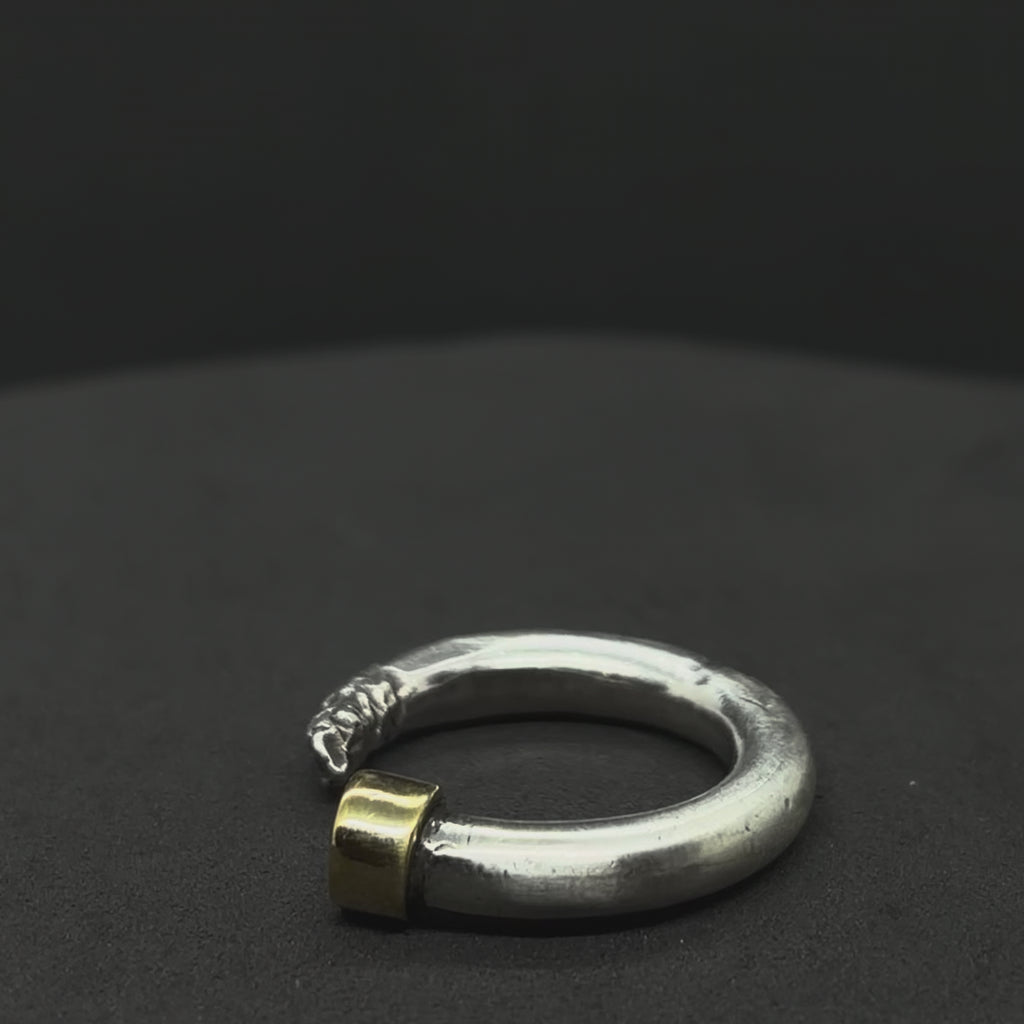 The Half-Eaten Spinel Ring