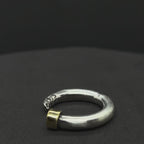 The Half-Eaten Spinel Ring