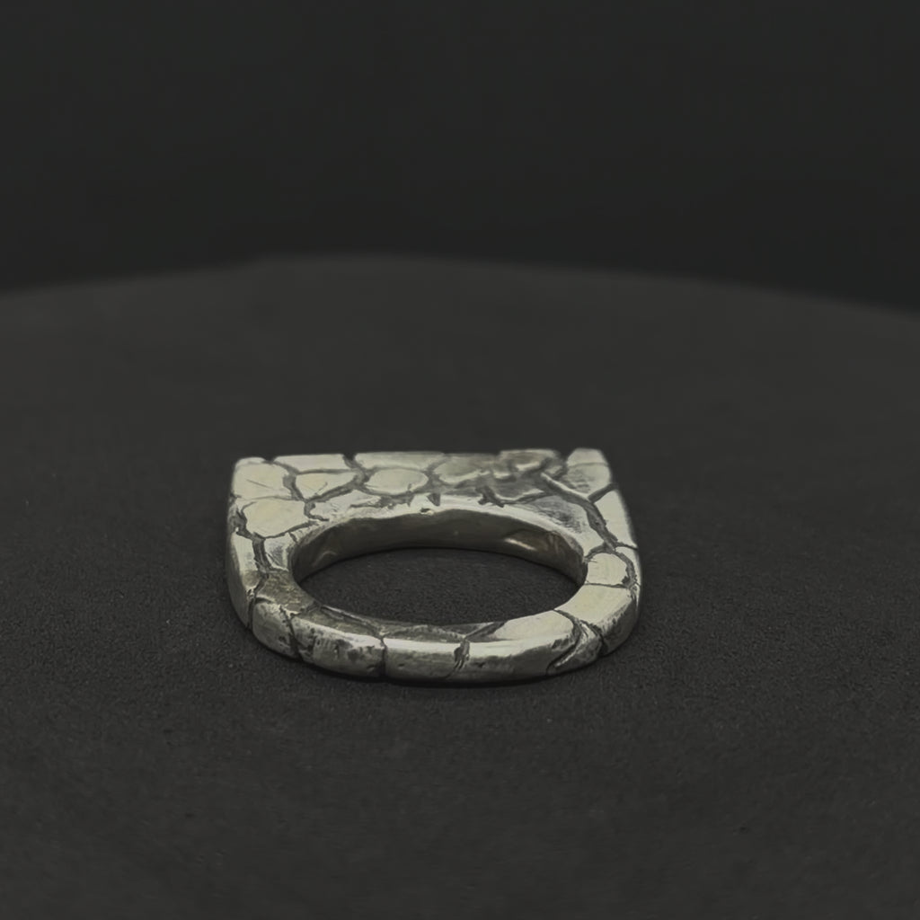 The Tectonic Ridge Ring