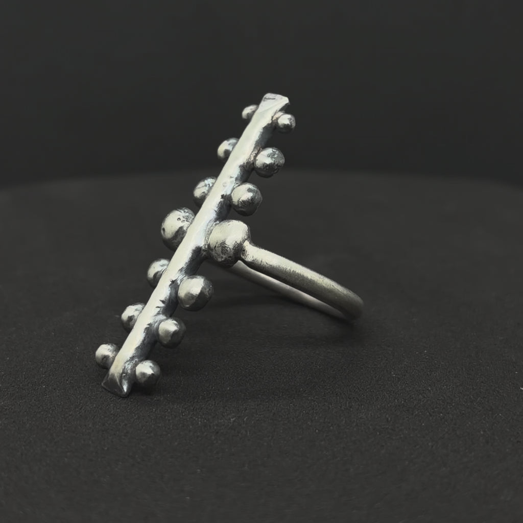 The Caterpillar Ring