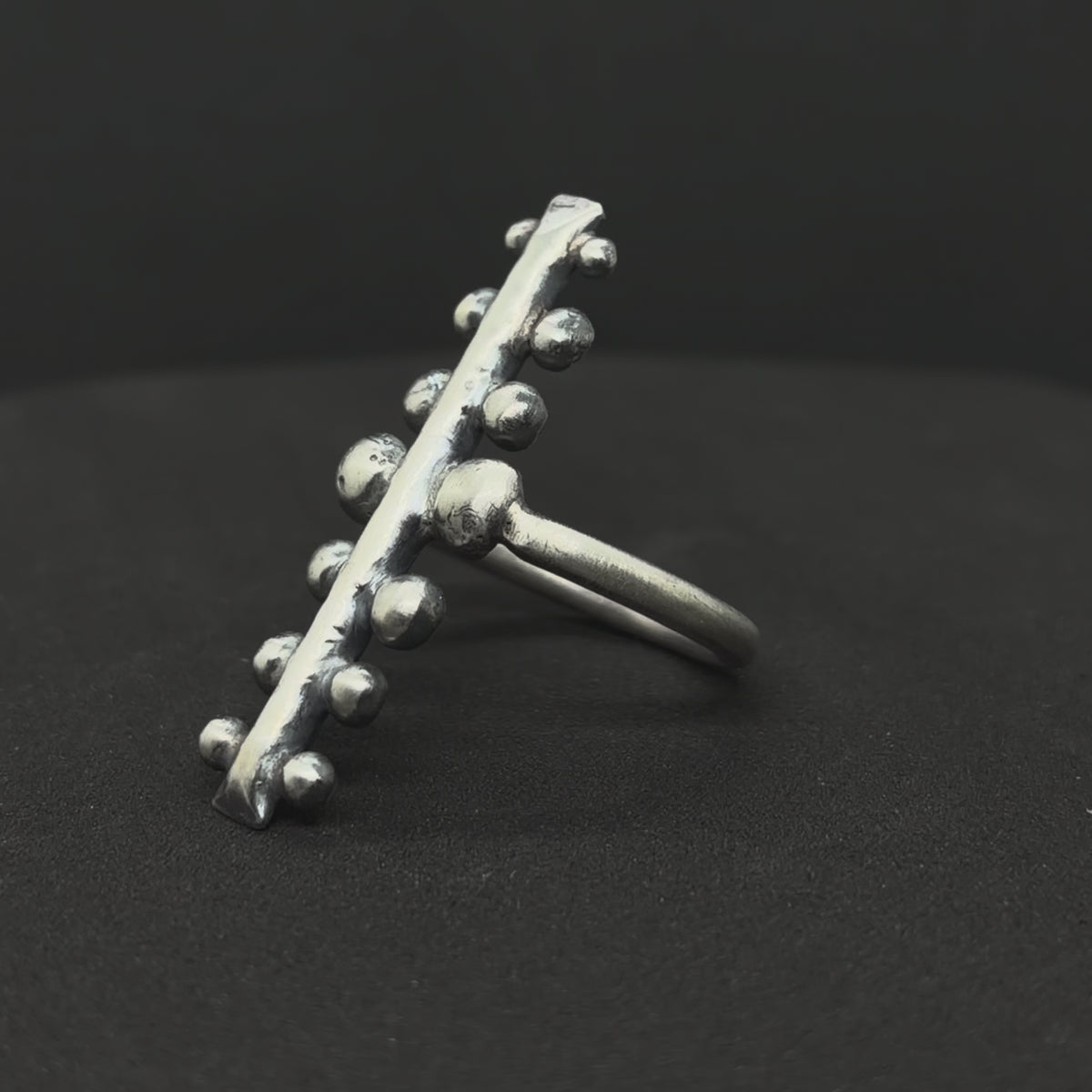 The Caterpillar Ring